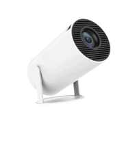 Projecteur Y300
